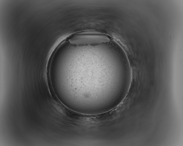 X0000088170147200705221629