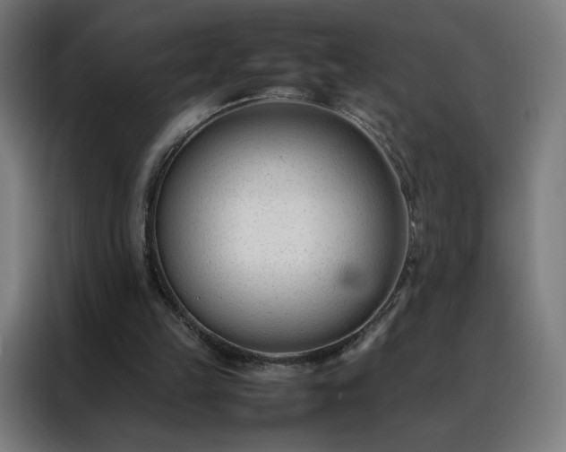 X0000088170149200705221629