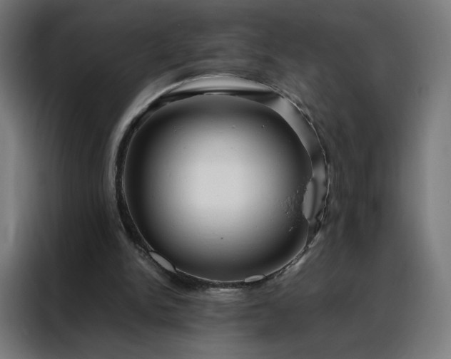 X0000088170150200705221629