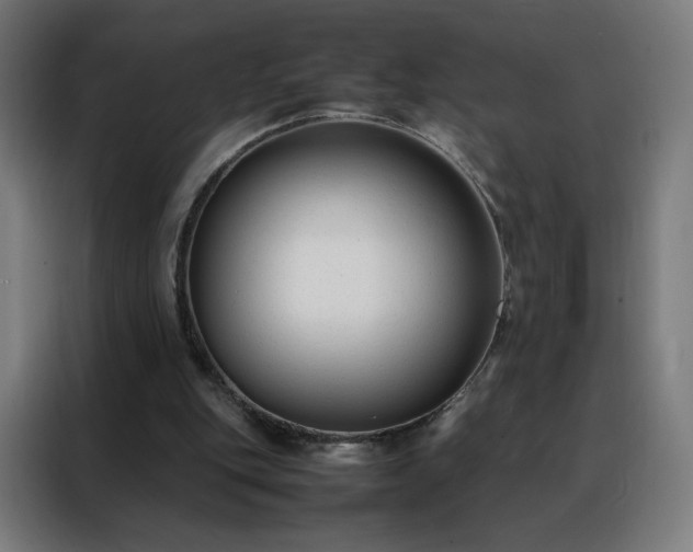 X0000088170151200705221629