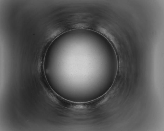 X0000088170153200705221629