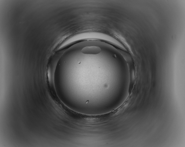 X0000088170154200705221629