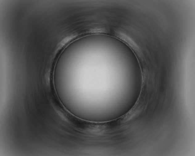 X0000088170155200705221629