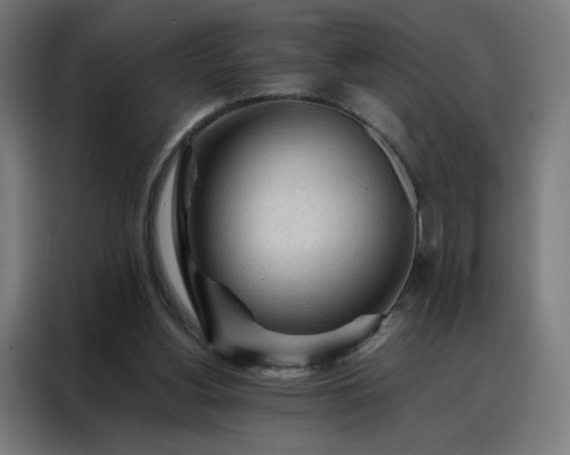 X0000088170156200705221629