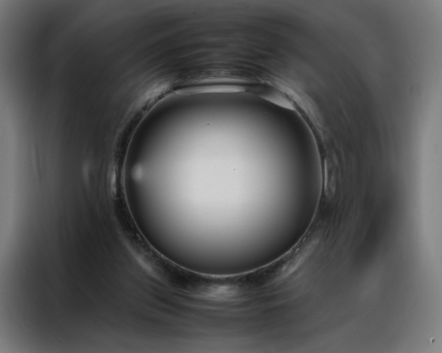 X0000088170157200705221629