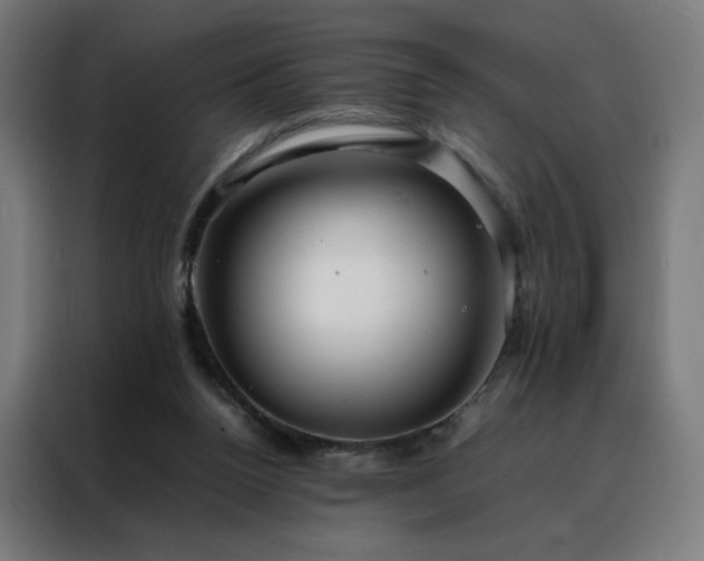 X0000088170160200705221629