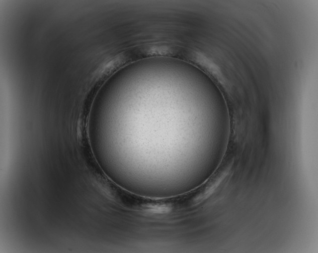 X0000088170161200705221629