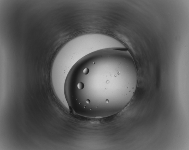 X0000088170162200705221629