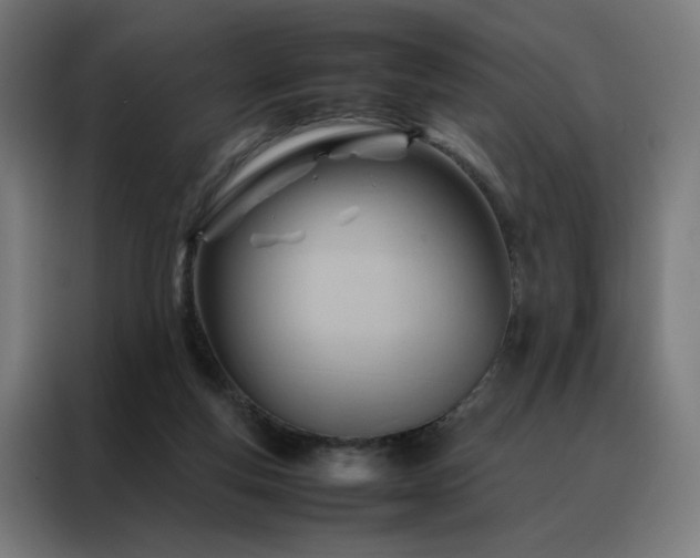 X0000088170163200705221629