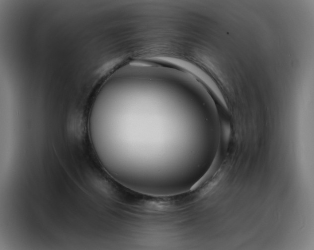 X0000088170164200705221629