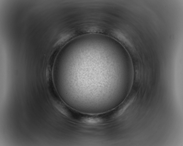 X0000088170165200705221629