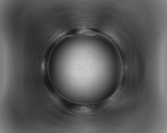 X0000088170166200705221629