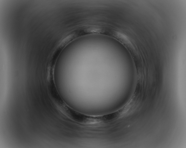 X0000088170167200705221629