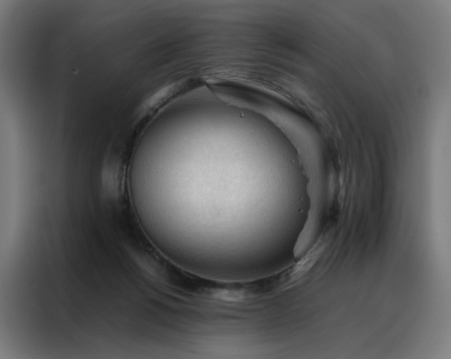 X0000088170168200705221629