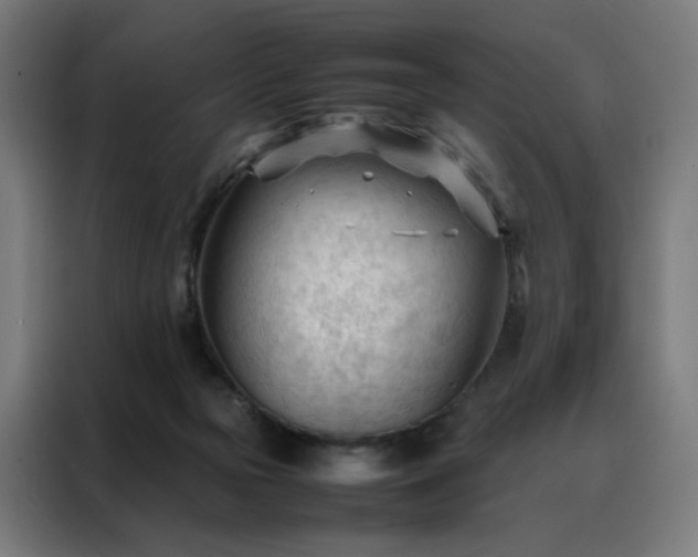 X0000088170169200705221629