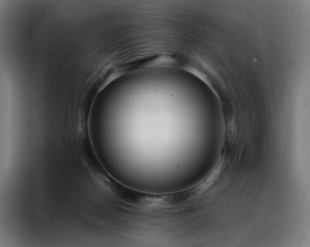 X0000088170170200705221629