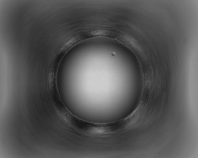 X0000088170171200705221629