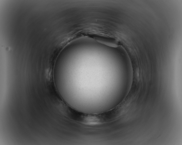 X0000088170177200705221629