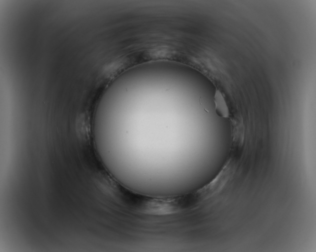 X0000088170179200705221629