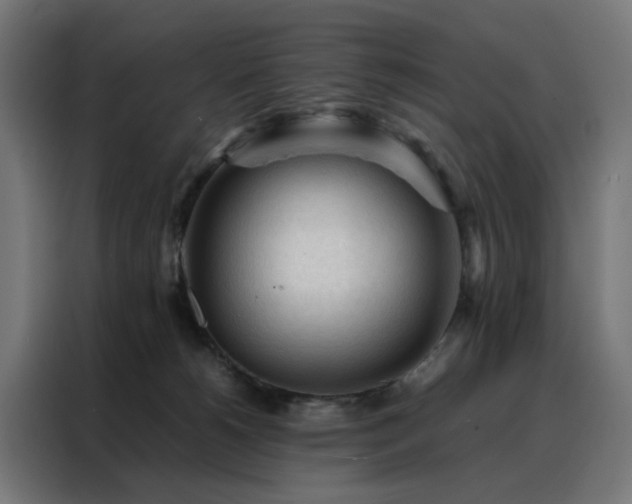 X0000088170180200705221629