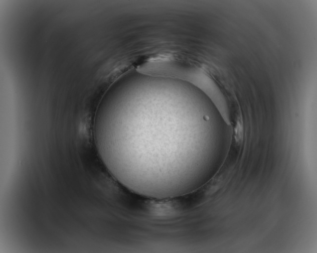 X0000088170181200705221629