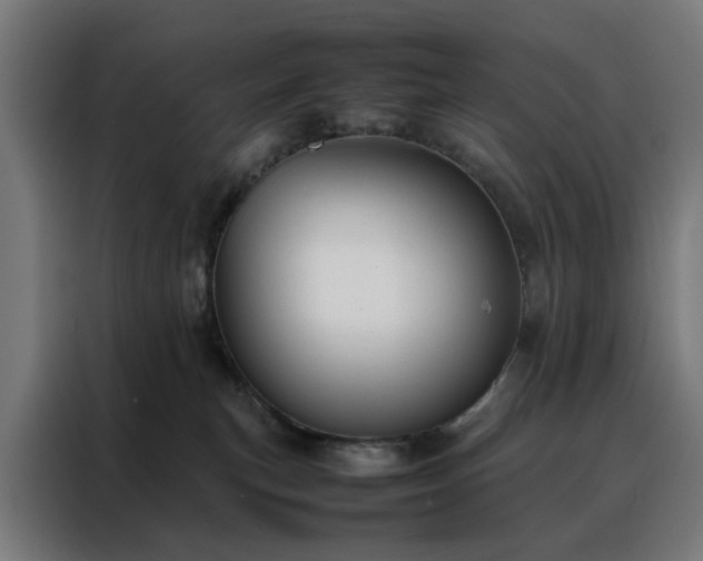 X0000088170183200705221629