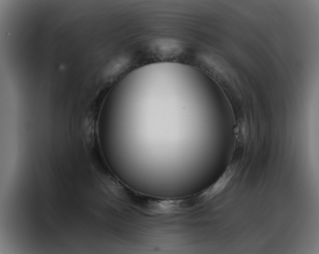 X0000088170184200705221629