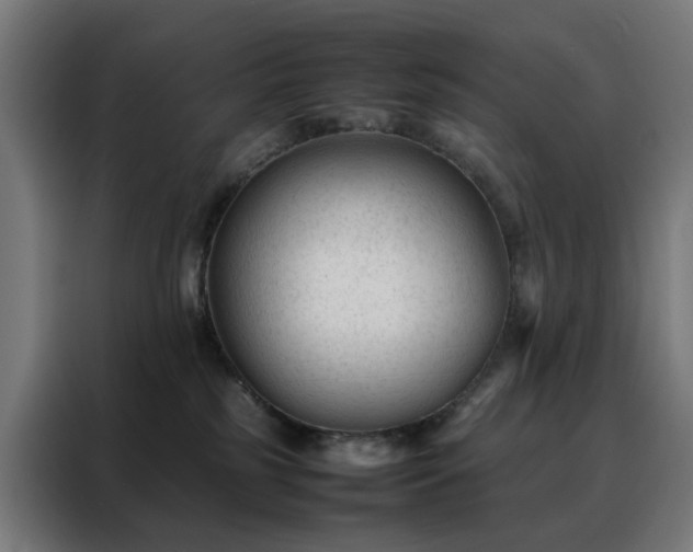 X0000088170185200705221629