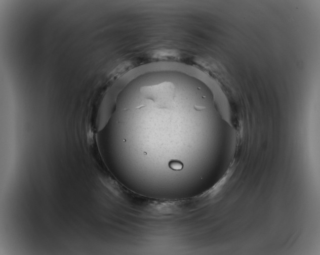 X0000088170186200705221629