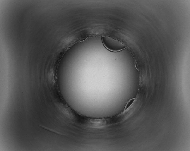 X0000088170187200705221629