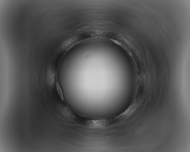 X0000088170188200705221629