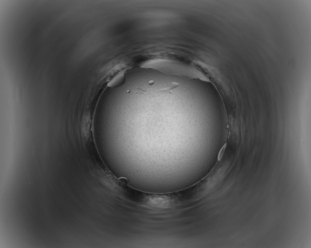 X0000088170189200705221629