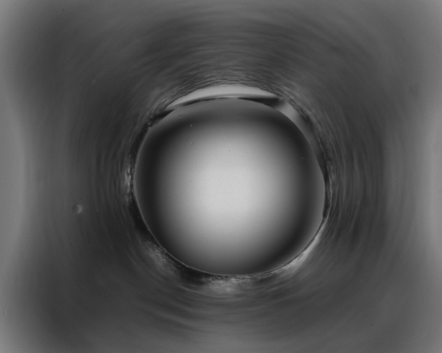 X0000088170190200705221629