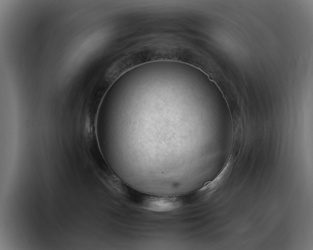 X0000088170191200705221629