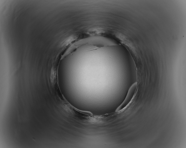 X0000088170192200705221629