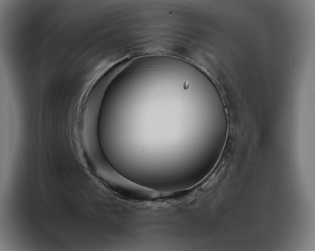 X0000088170193200705221629