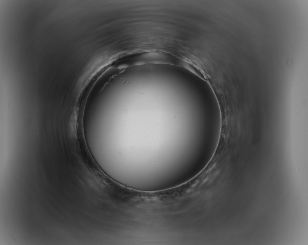 X0000088170194200705221629