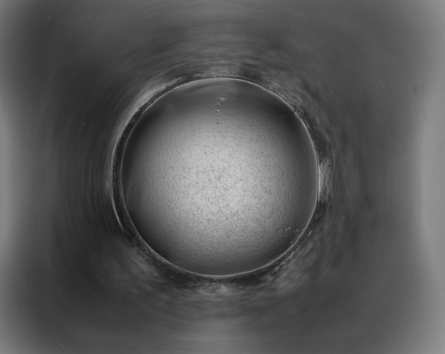 X0000088170195200705221629