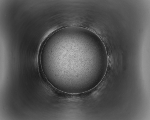 X0000088170196200705221628