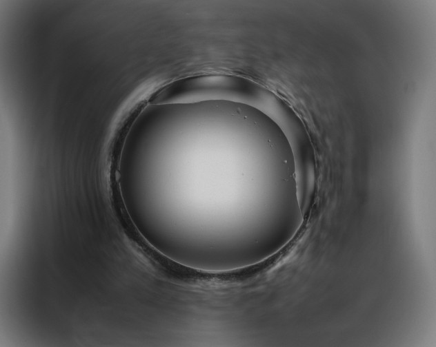 X0000088170197200705221628