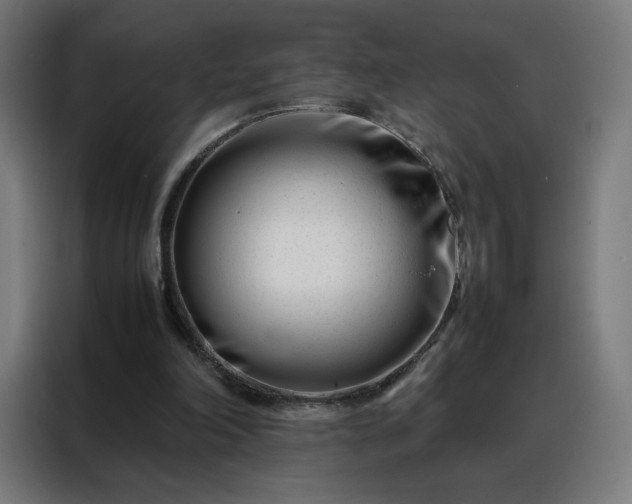 X0000088170198200705221628