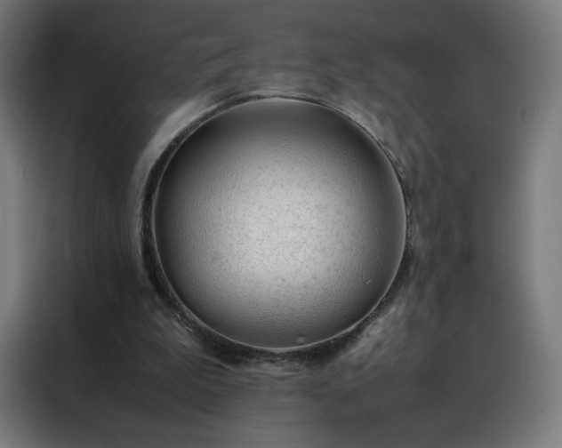 X0000088170199200705221628