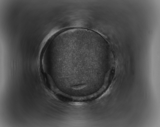 X0000088170200200705221628