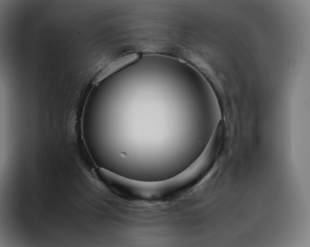 X0000088170201200705221628