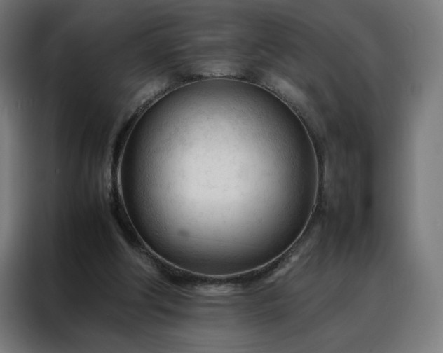 X0000088170202200705221628