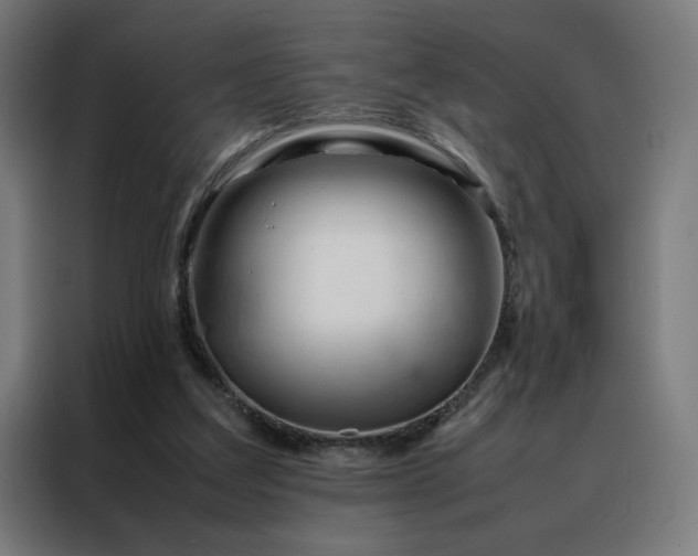 X0000088170203200705221628