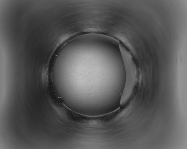 X0000088170204200705221628