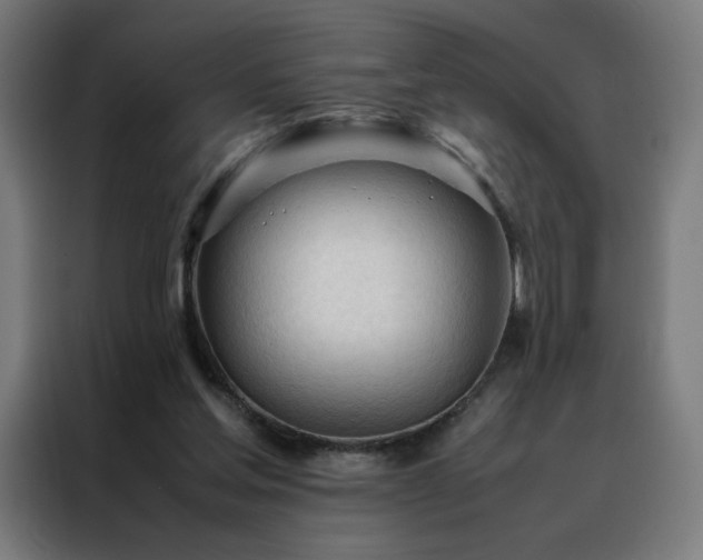 X0000088170205200705221628