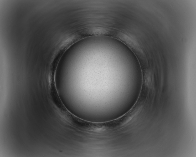 X0000088170206200705221628