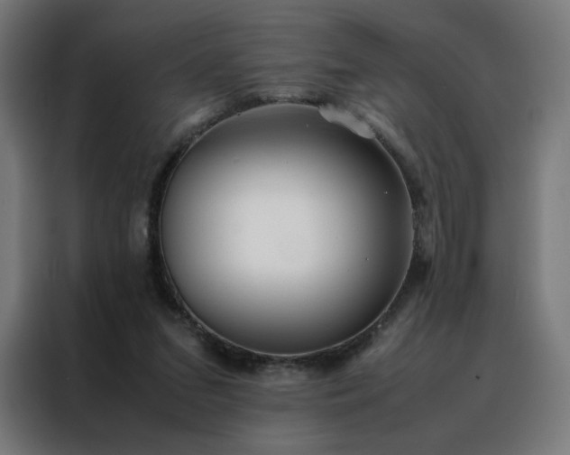 X0000088170207200705221628